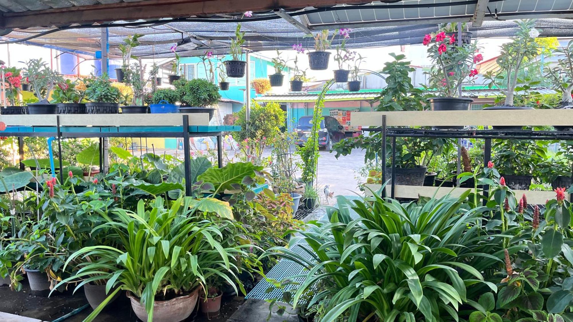 Pa Chalermchai Guesthouse Bangkok Eksteriør billede